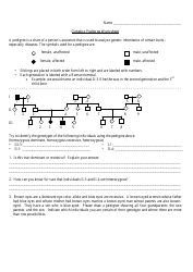 Genetics Pedigree Worksheet With Answers, Page 2