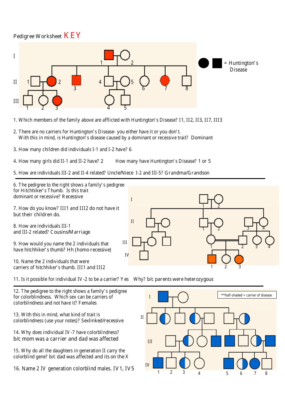 Genetics Pedigree Worksheet With Answers, Page 3