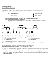 Genetics Pedigree Worksheet With Answers, Page 4