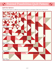 Pointed Possibilities Quilt Pattern - Fat Quarter Shop, Page 2