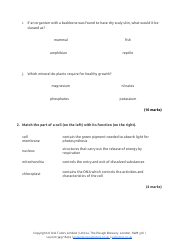 13+ Entrance Examination Paper 1 Biology: Level 2 - Owl Tutors, Page 4