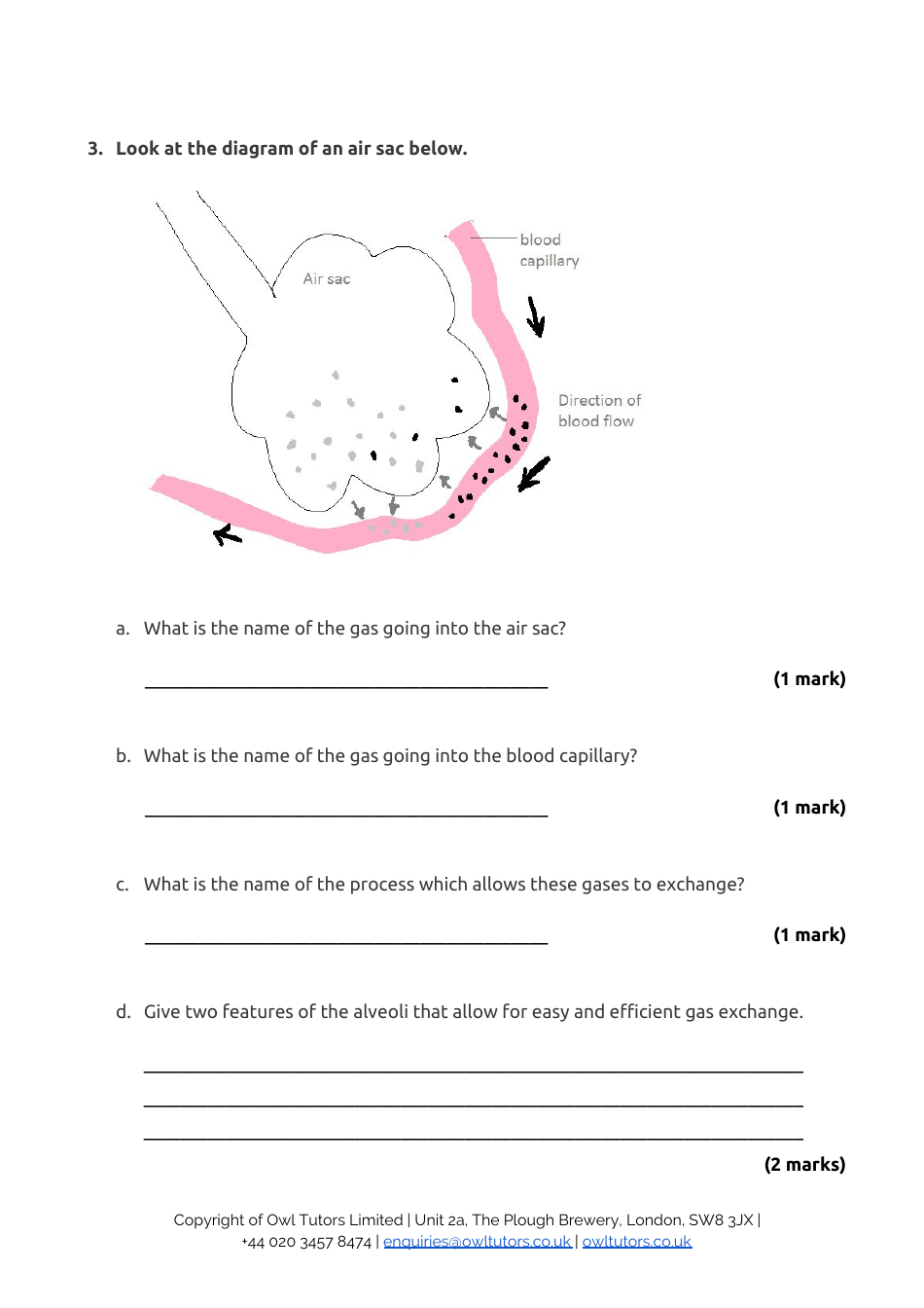 13+ Entrance Examination Paper 1 Biology: Level 2 - Owl Tutors, Page 5