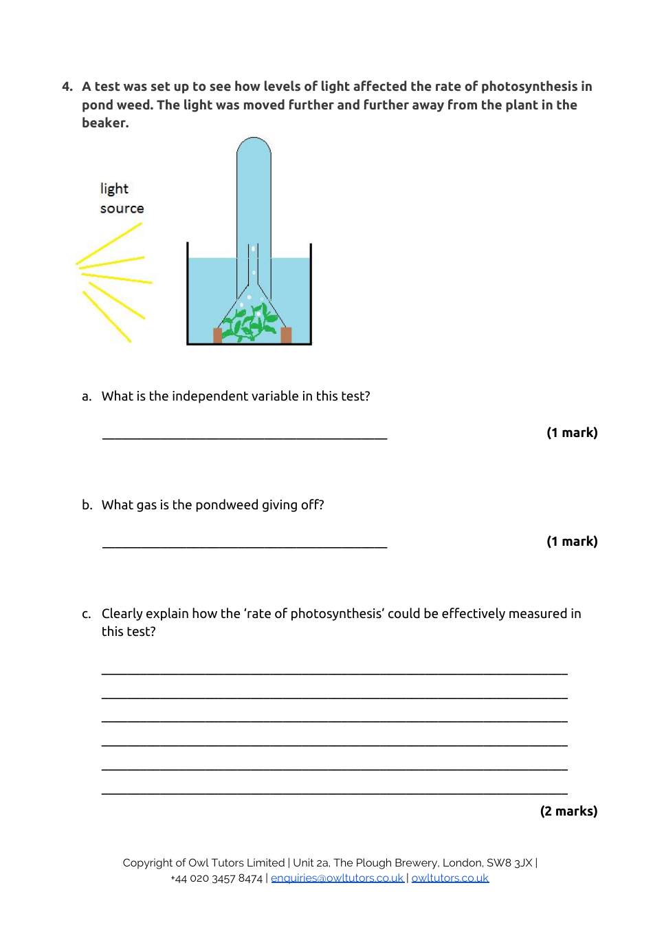 13+ Entrance Examination Paper 1 Biology: Level 2 - Owl Tutors, Page 7