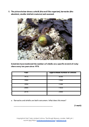 13+ Entrance Examination Paper 1 Biology: Level 2 - Owl Tutors, Page 9