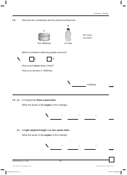 2007 Sats Mathematics Test Paper 2, Page 13