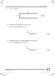 2007 Sats Mathematics Test Paper 2, Page 17