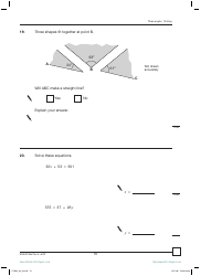 2007 Sats Mathematics Test Paper 2, Page 19