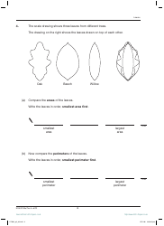 2007 Sats Mathematics Test Paper 2, Page 6