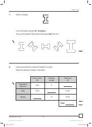 2007 Sats Mathematics Test Paper 2, Page 9