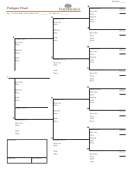 Document preview: Pedigree Chart Template - Family Search