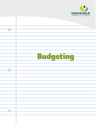 Document preview: Budgeting Worksheet