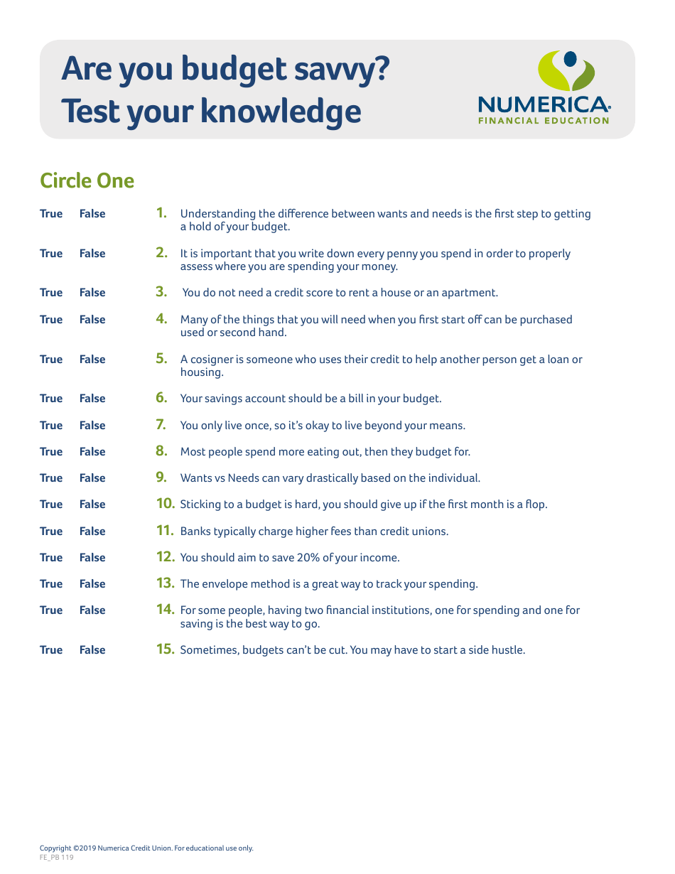 Budgeting Worksheet, Page 8