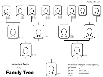 Inherited Traits Family Tree Template Download Printable PDF ...