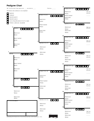 Document preview: Pedigree Chart Template - Fifteen Points
