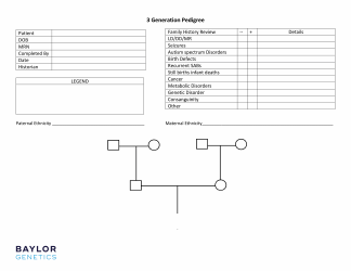 Document preview: 3 Generation Pedigree Chart Template
