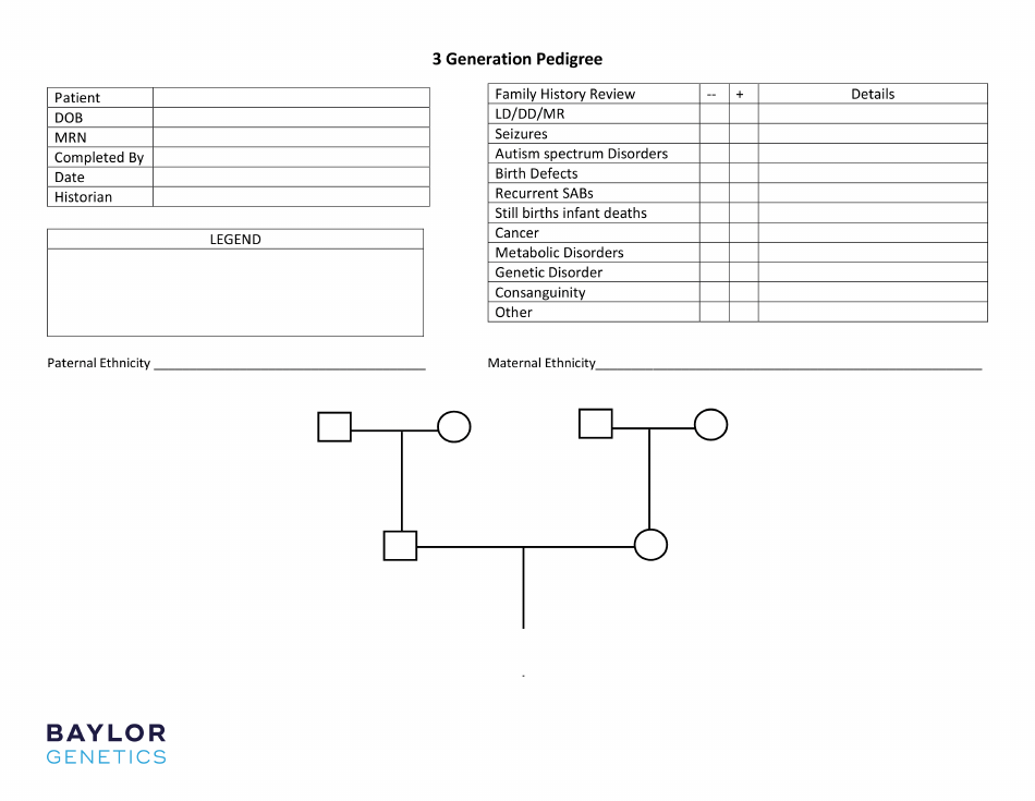 3-generation-pedigree-chart-template-download-printable-pdf