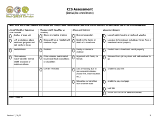 Cis Assessment (Initial/Re-enrollment) - Hawaii, Page 3