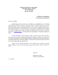 Certificate of Amendment for Non-stock Corporation - Delaware