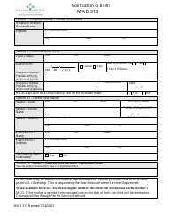 Form MAD313 Notification of Birth - New Mexico, Page 2