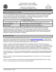 Document preview: Instructions for USCIS Form I-956G Regional Center Annual Statement