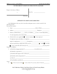 Form CCG0041 Affidavit of Assets and Liabilities - Cook County, Illinois