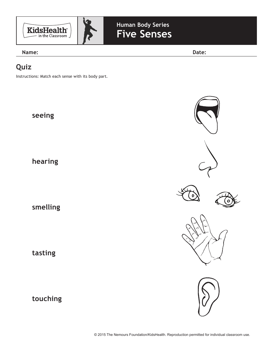 Human Body Five Senses Lesson Plan - Kidshealth, Page 8