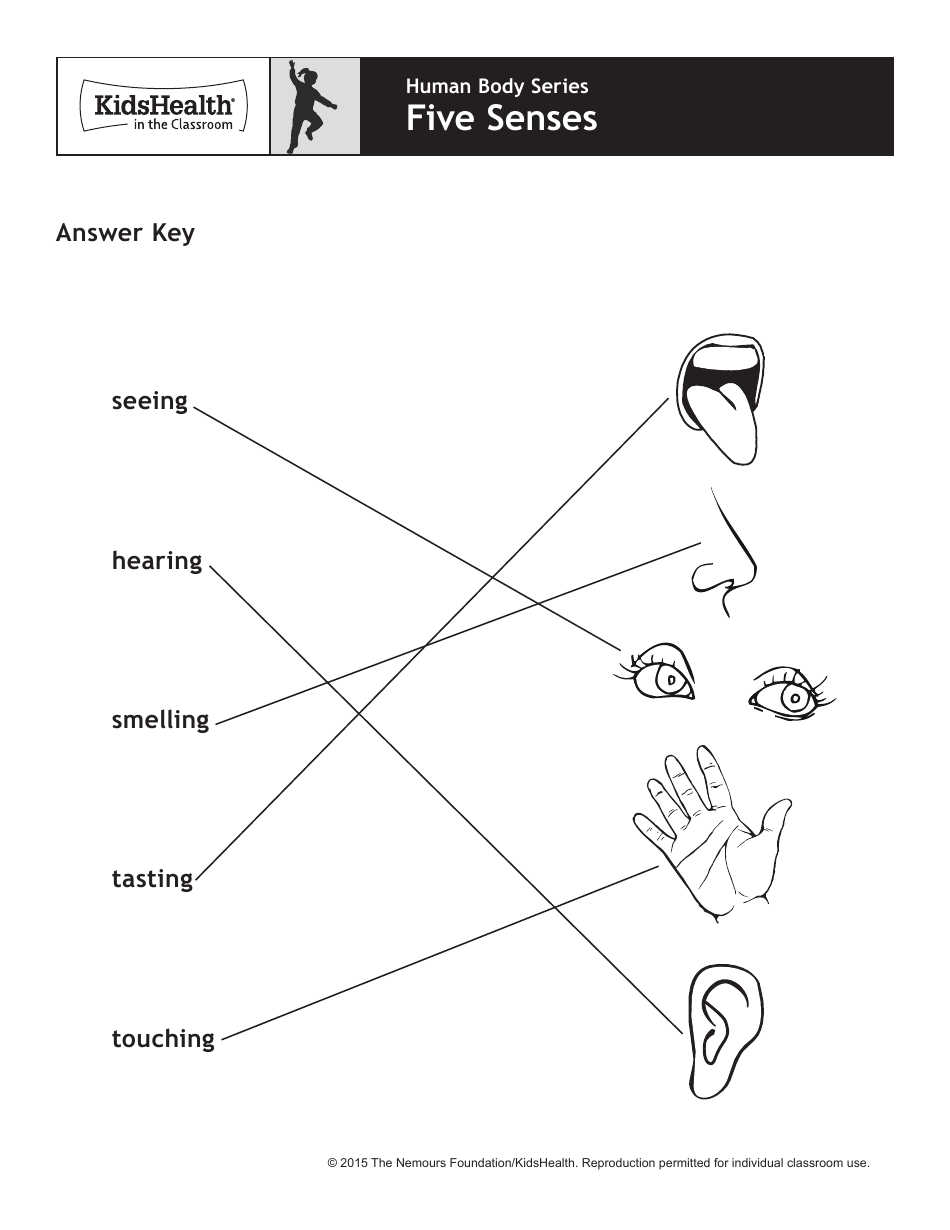 Human Body Five Senses Lesson Plan - Kidshealth, Page 9