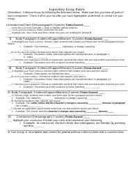 Expository Essay Outline Template - With Total Points, Page 3
