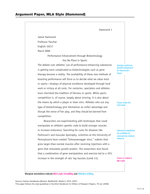 Argument Paper in MLA Style - Document Preview