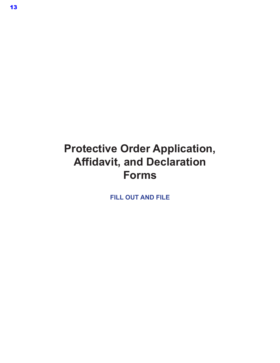 Protective Order Kit - Texas, Page 13
