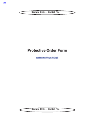 Protective Order Kit - Texas, Page 30