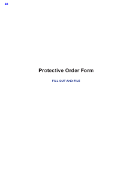 Protective Order Kit - Texas, Page 38