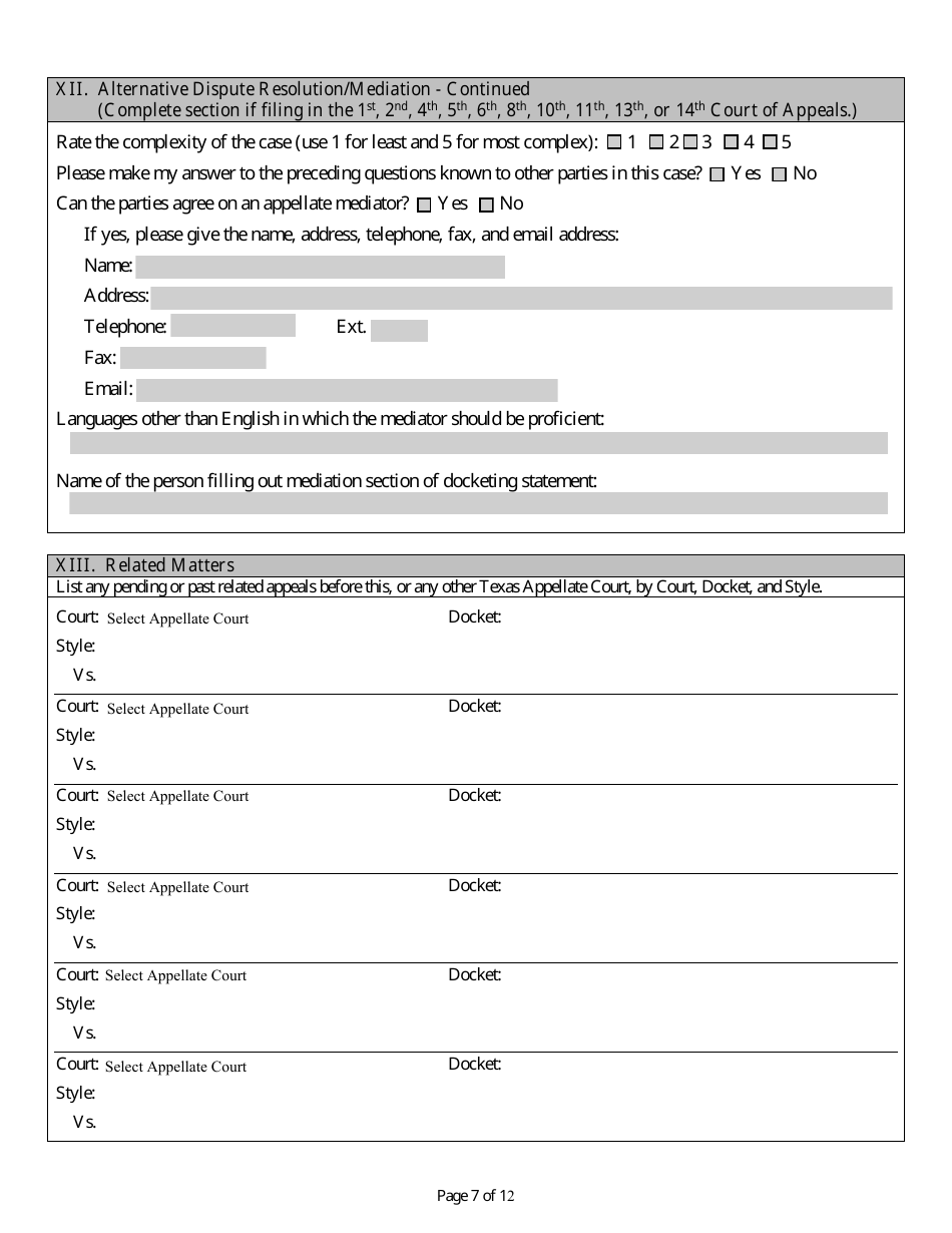 Docketing Statement (Civil) - Texas, Page 7