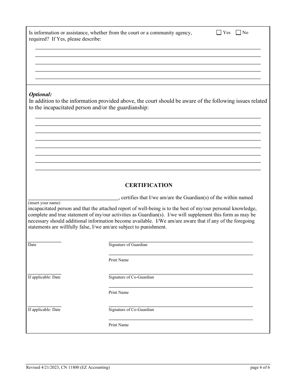 Form 11800 Guardianship Report Ez Accounting Form - New Jersey, Page 6