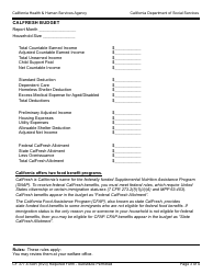 Form CF377.4 SAR CalFresh Notice of Change for Semi-annual Reporting Households - California, Page 3