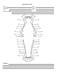 Document preview: Dog Dental Chart Template