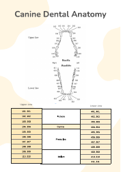 Document preview: Canine Dental Chart