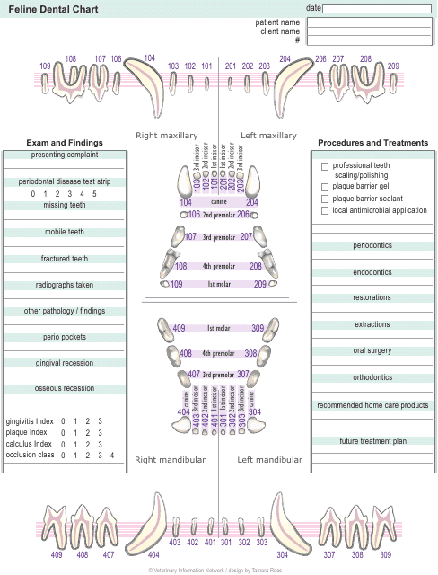 Feline Dental Chart template - Professional and comprehensive dental chart specifically designed for cats.