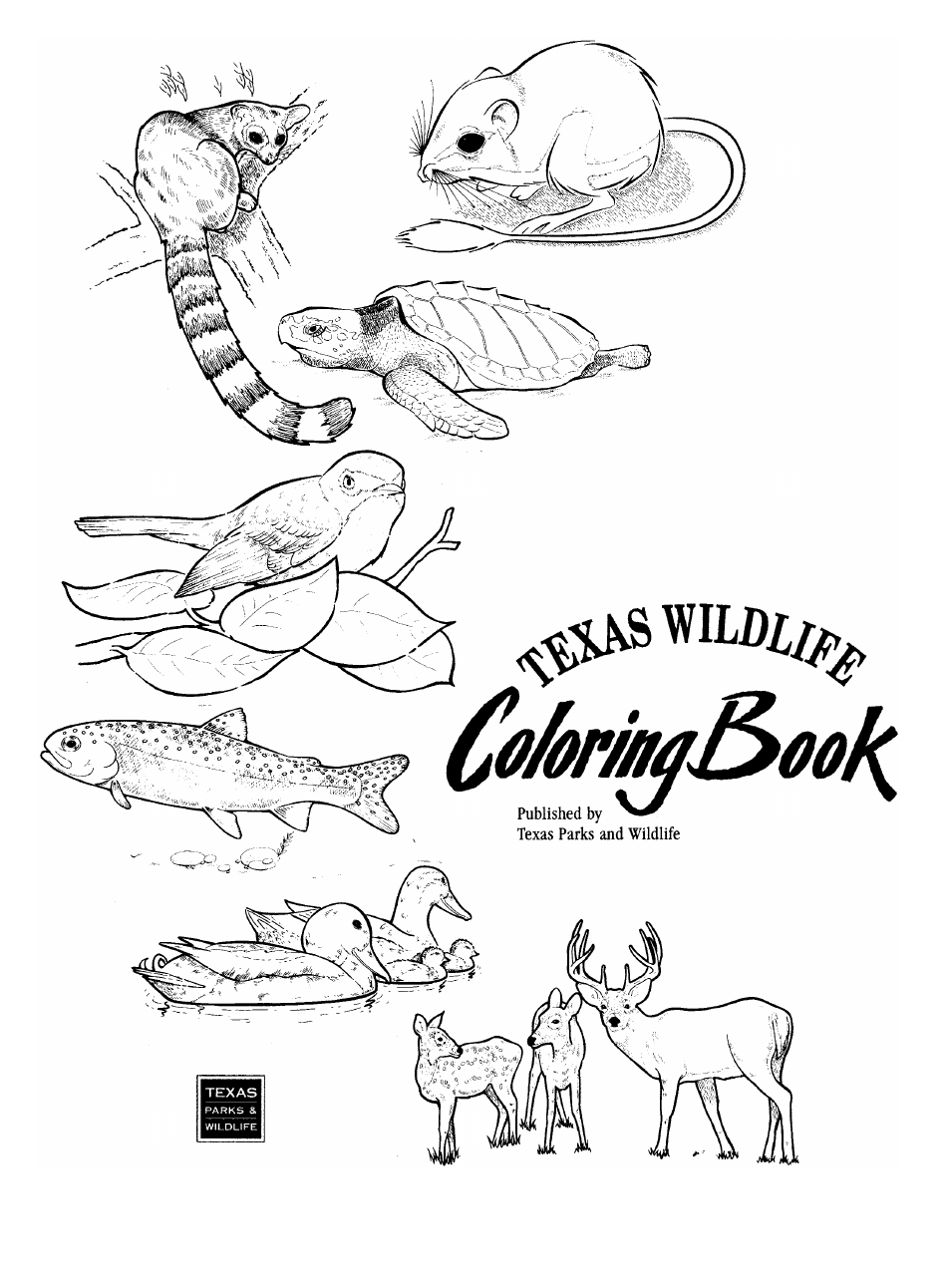 Texas Wildlife Coloring Book - Texas, Page 1