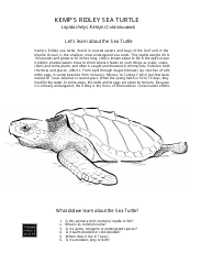 Texas Wildlife Coloring Book - Texas, Page 2