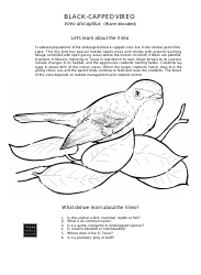 Texas Wildlife Coloring Book - Texas, Page 4