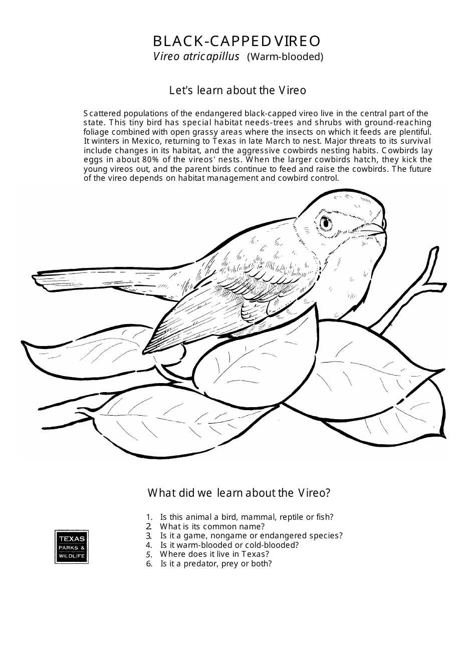 Texas Wildlife Coloring Book - Texas, Page 4
