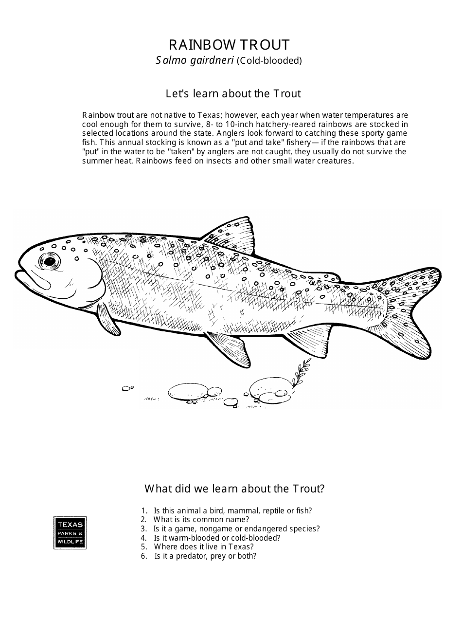 Texas Wildlife Coloring Book - Texas, Page 5