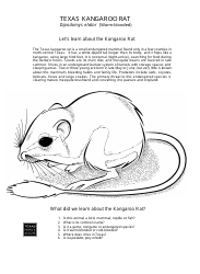 Texas Wildlife Coloring Book - Texas, Page 7