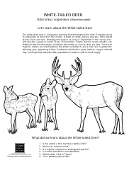 Texas Wildlife Coloring Book - Texas, Page 8