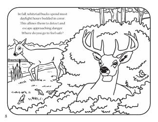 Fun With Fish and Wildlife Activity Book - Kentucky, Page 10