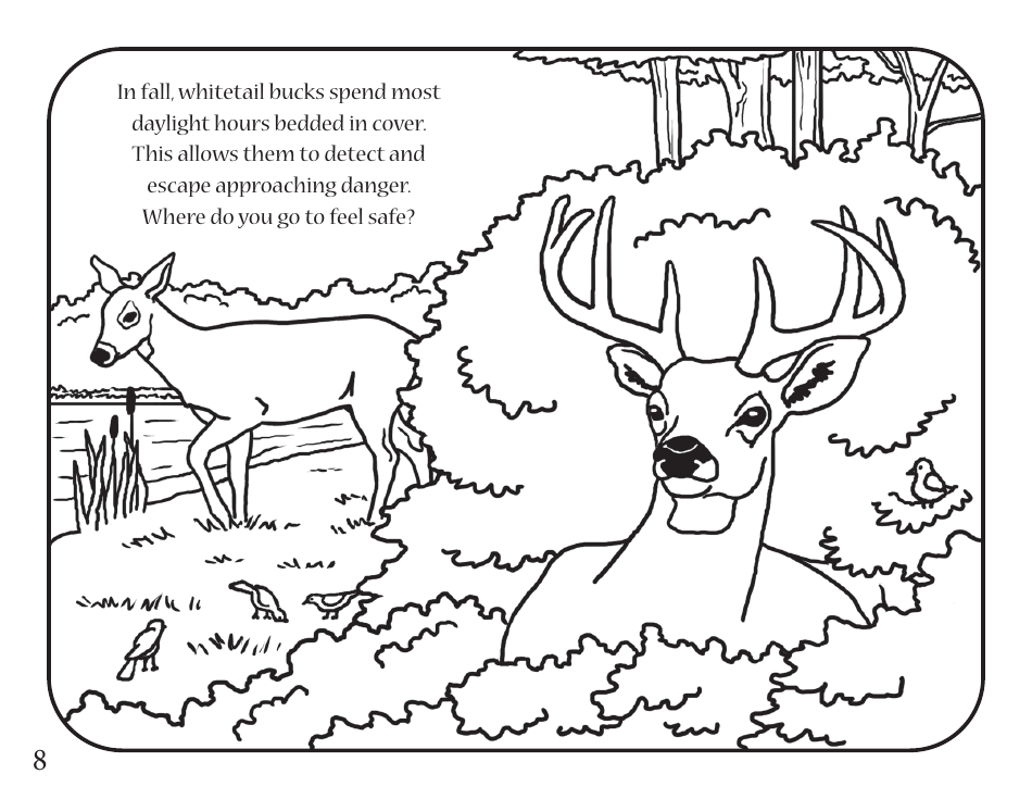 Fun With Fish and Wildlife Activity Book - Kentucky, Page 10