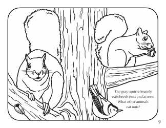 Fun With Fish and Wildlife Activity Book - Kentucky, Page 11