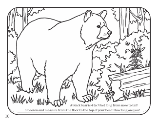 Fun With Fish and Wildlife Activity Book - Kentucky, Page 12