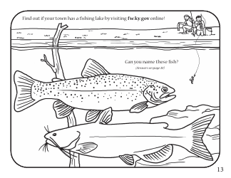 Fun With Fish and Wildlife Activity Book - Kentucky, Page 15